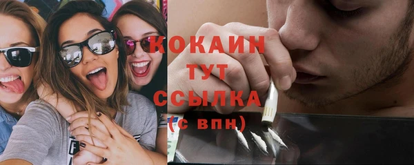 spice Новозыбков