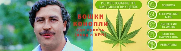 шишки Горнозаводск