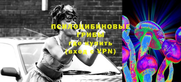 spice Новозыбков