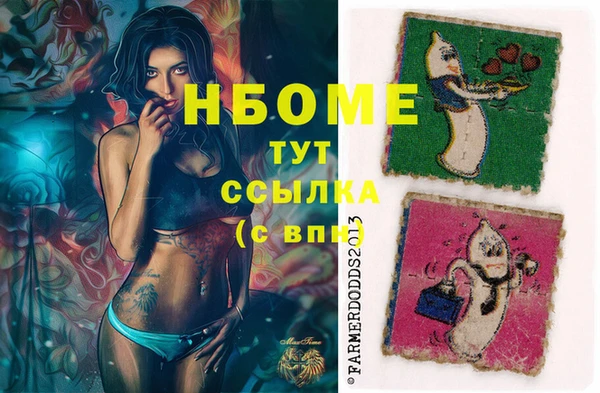 дмт Аша