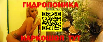 молекула духа Гатчина