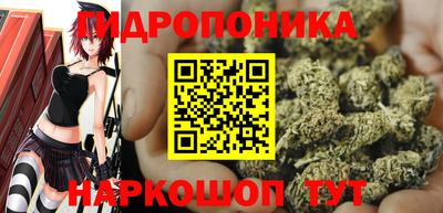 кокс Гай